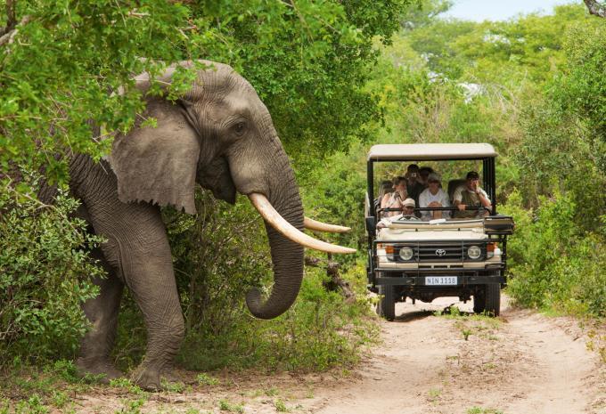 Kenia - Safari & Baden