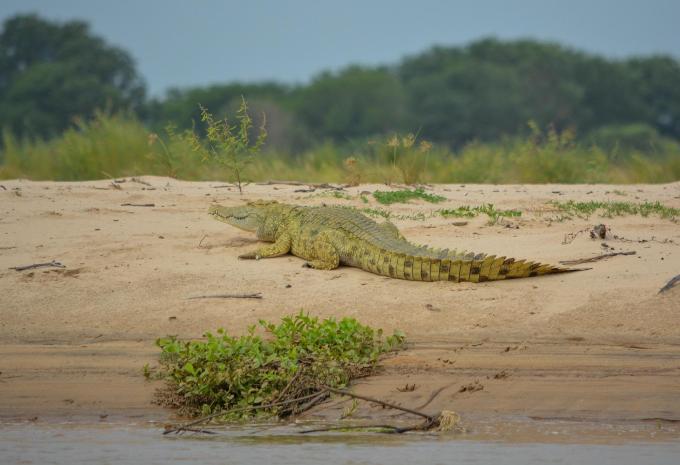 Sansibar - Safari & Baden