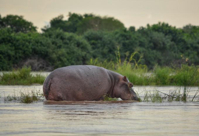 Sansibar - Safari & Baden