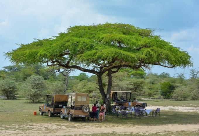 Sansibar - Safari & Baden