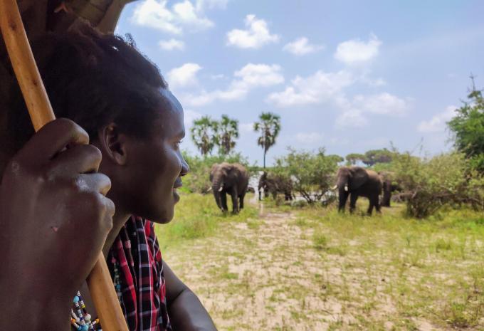 Sansibar - Safari & Baden