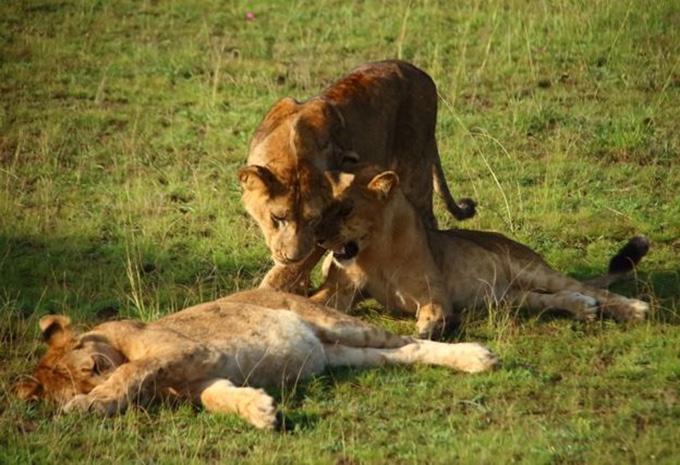 Uganda - Abenteuer-Rundreise