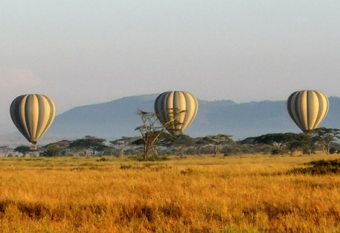 Tansania - Safari