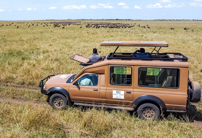 Tansania - Safari