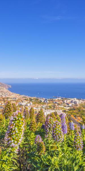 Hotels im Süden von Madeira