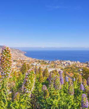 Hotels im Süden von Madeira