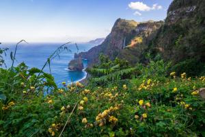 Die schönsten Hotels auf Madeira