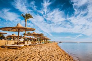 Urlaub in Ägypten | HOFER REISEN