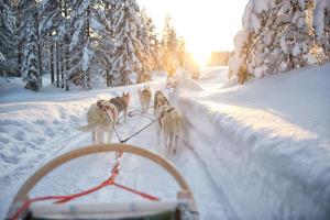 Winterzauber in Finnland - Rundreise