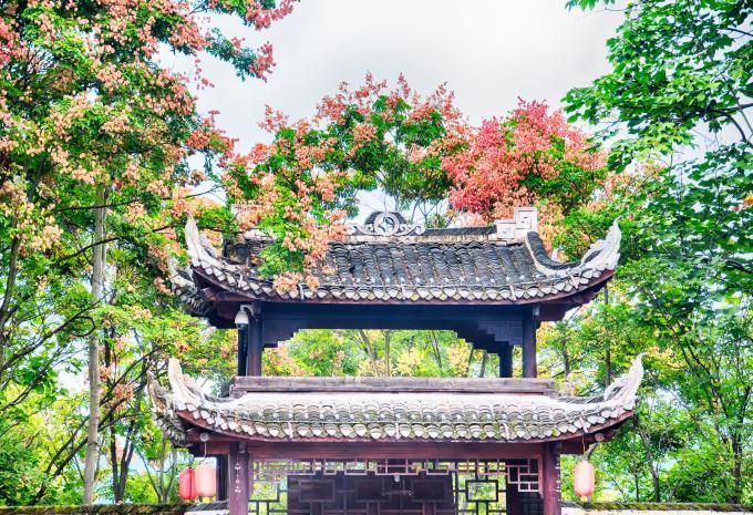 Fenghuang Fenghuang