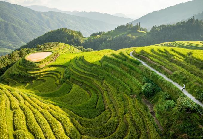 Longsheng Longsheng