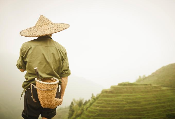 Longsheng Longsheng
