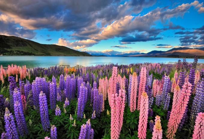 Lake Tekapo