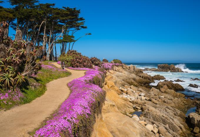 Monterey