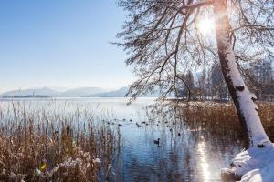 Velden am Wörthersee