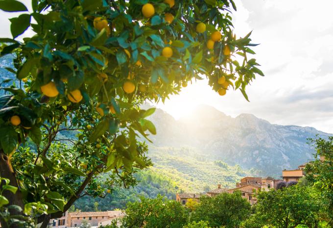 Mallorca