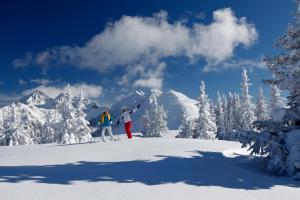 Pichl bei Schladming