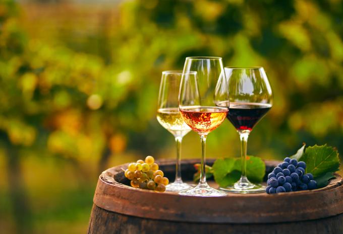 Entlang der Weinberge von Basel durchs Elsass nach Straßburg - Radtour