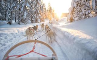 Winterurlaub in Lappland mit HOFER REISEN