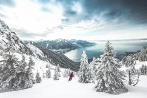 Schweiz - GoldenPass Tour Berge & Seen Winterromantik - Zugrundreise