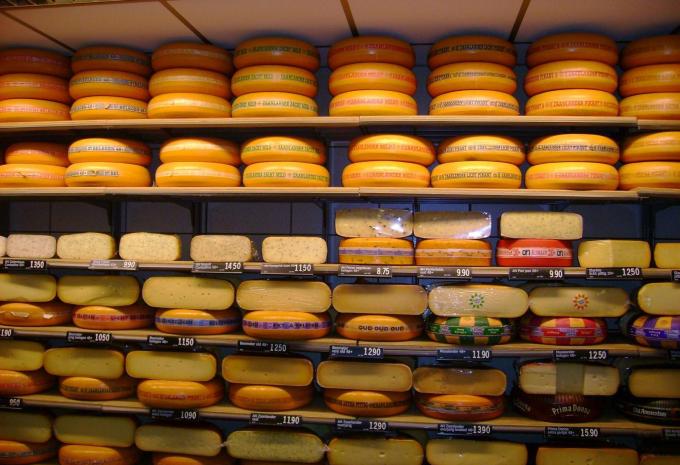 IJsselmeer - Radtour