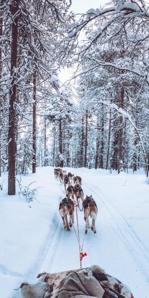 Winterurlaub in Lappland