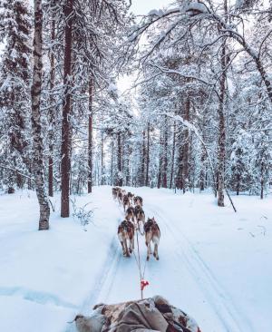 Winterurlaub in Lappland