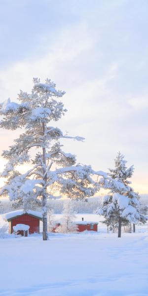 Winterurlaub in Lappland