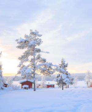 Winterurlaub in Lappland