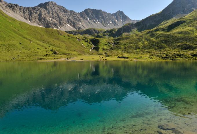 Arosa