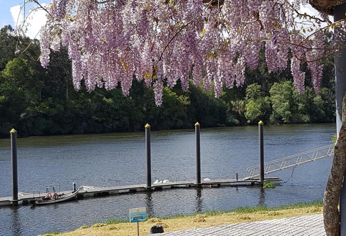 Entdeckungsreise durch Nordportugal - Radtour