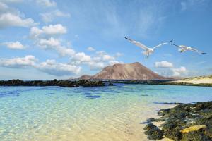 Fuerteventura - Costa Calma