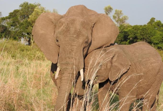 Namibia, Simbabwe & Botswana - Rundreise