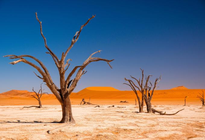 Namib Wüste