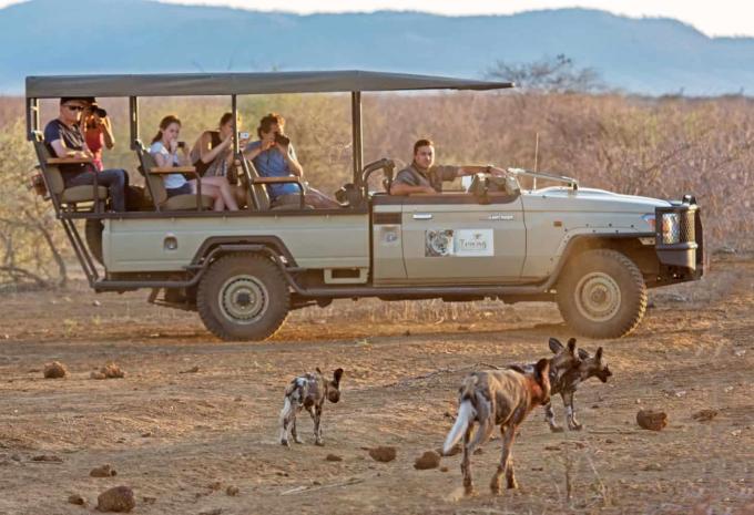 Madikwe Game Reserve