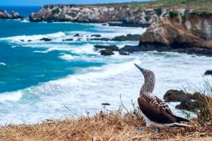 Ecuador & „Klein-Galápagos“ - Rundreise