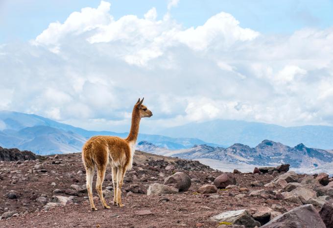 Ecuador & „Klein-Galápagos“ - Rundreise