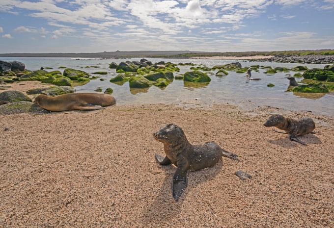Ecuador & „Klein-Galápagos“ - Rundreise