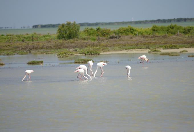 Höhepunkte der Provence - Radtour
