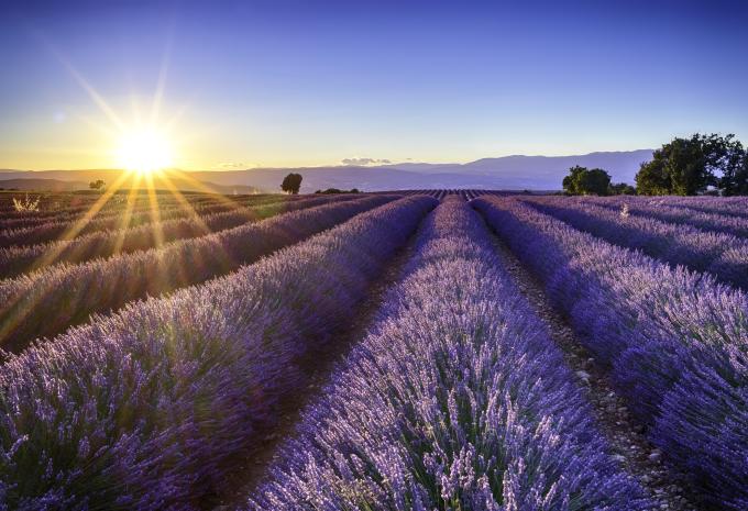 Provence