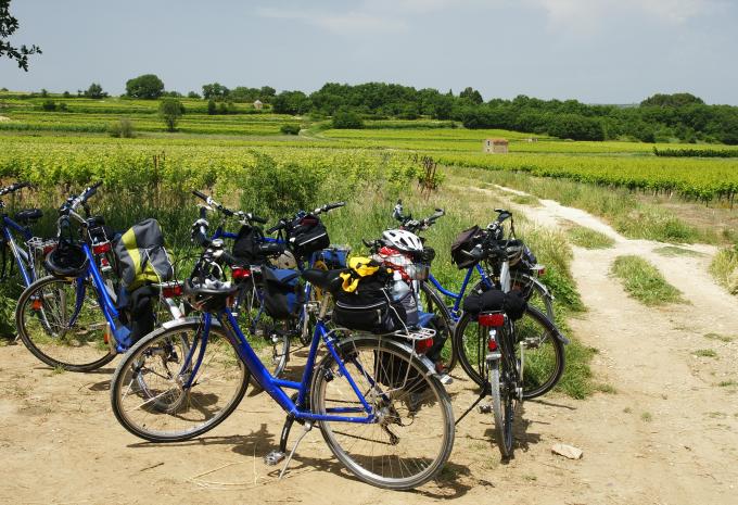 Höhepunkte der Provence - Radtour