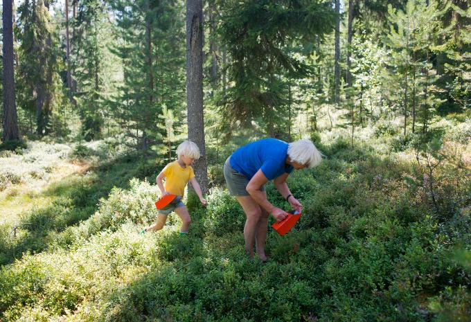 Schweden für Familien - Fly, Drive & Sleep