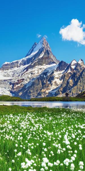 Urlaub in der Schweiz