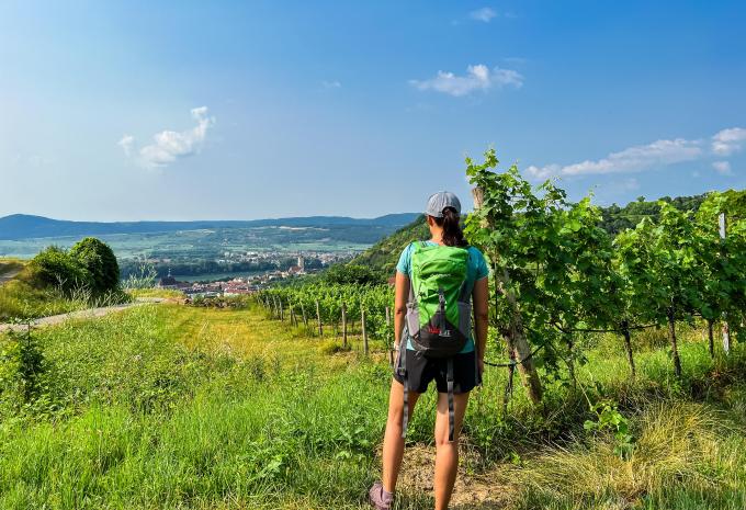 Wachau - Entlang des Welterbesteiges - Wanderreise