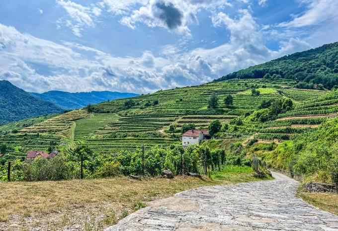 Wachau - Entlang des Welterbesteiges - Wanderreise