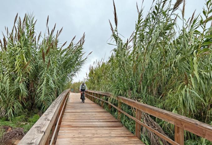 Albufeira  Albufeira