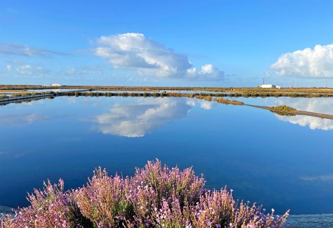 Ria Formosa Ria Formosa