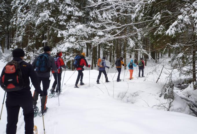 Bayerischer Wald - Thurmansbang