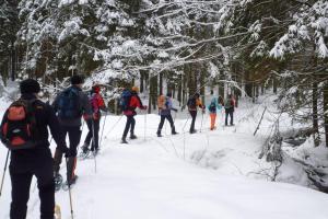 Bayerischer Wald - Thurmansbang
