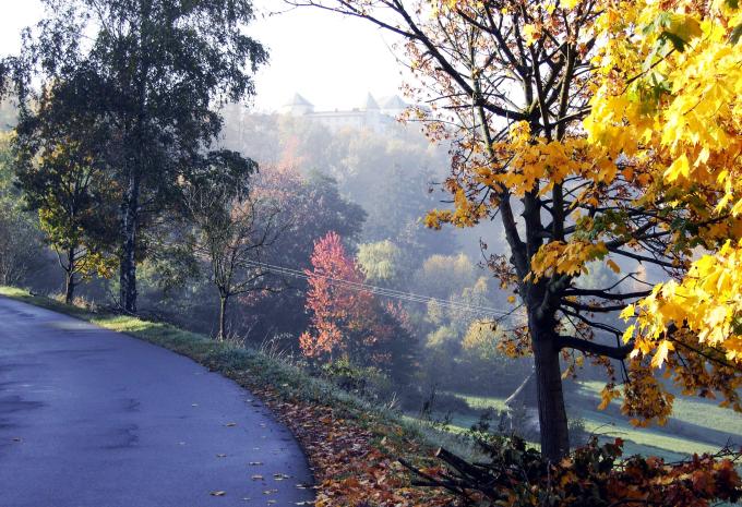 Bayerischer Wald - Thurmansbang
